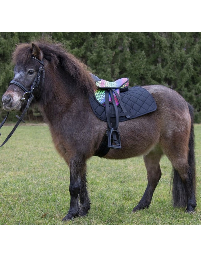 Sangle élastique pour cheval Harry's Horse - Sangles - Selles et  Équipements - Cheval au travail