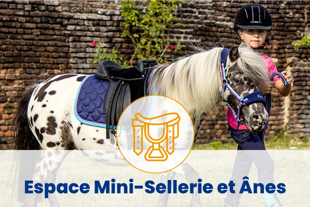 Alidada equipements equitation, la sellerie en Ariège pour tous les sports  equestres